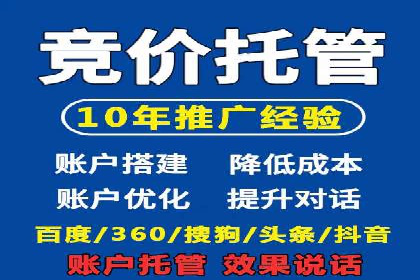 百度推广全攻略：成功案例剖析
